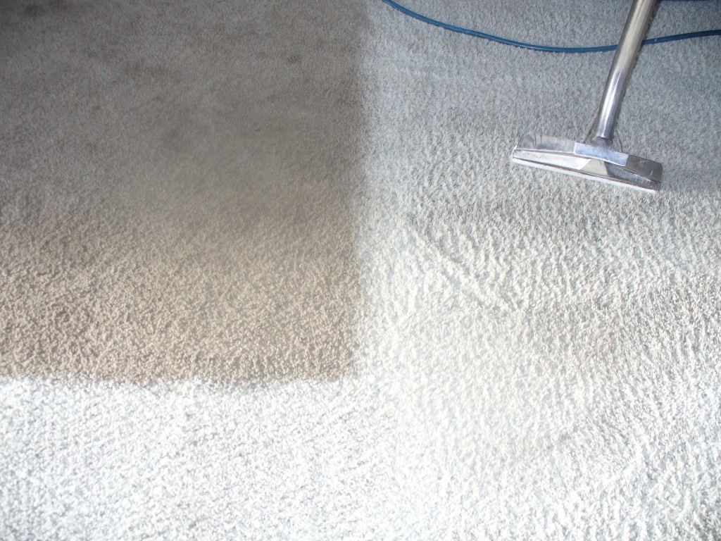 Carpet Cleaning Guarantee Carpet Cleaning & Dye Co.